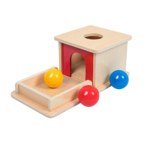 Wooden Toy Ball Sorting and Stacking